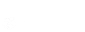 Kupujemy Auta
